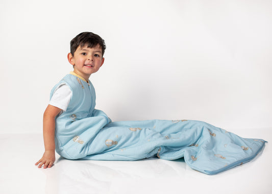 Saquito Hot Air Balloon - Tog 2.5