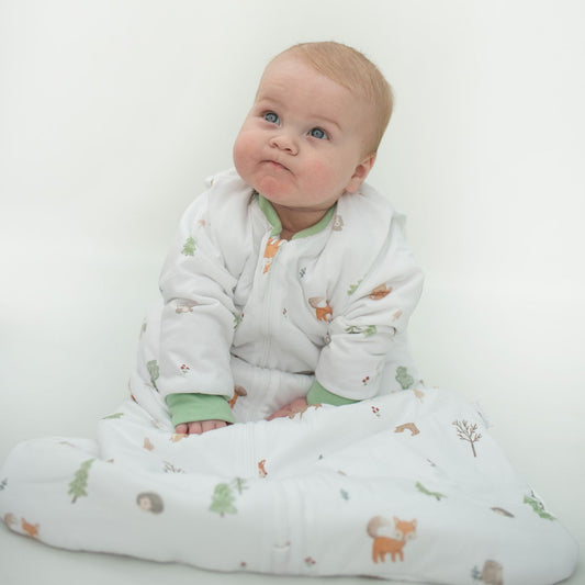 Saquito Forest - Tog 2.5