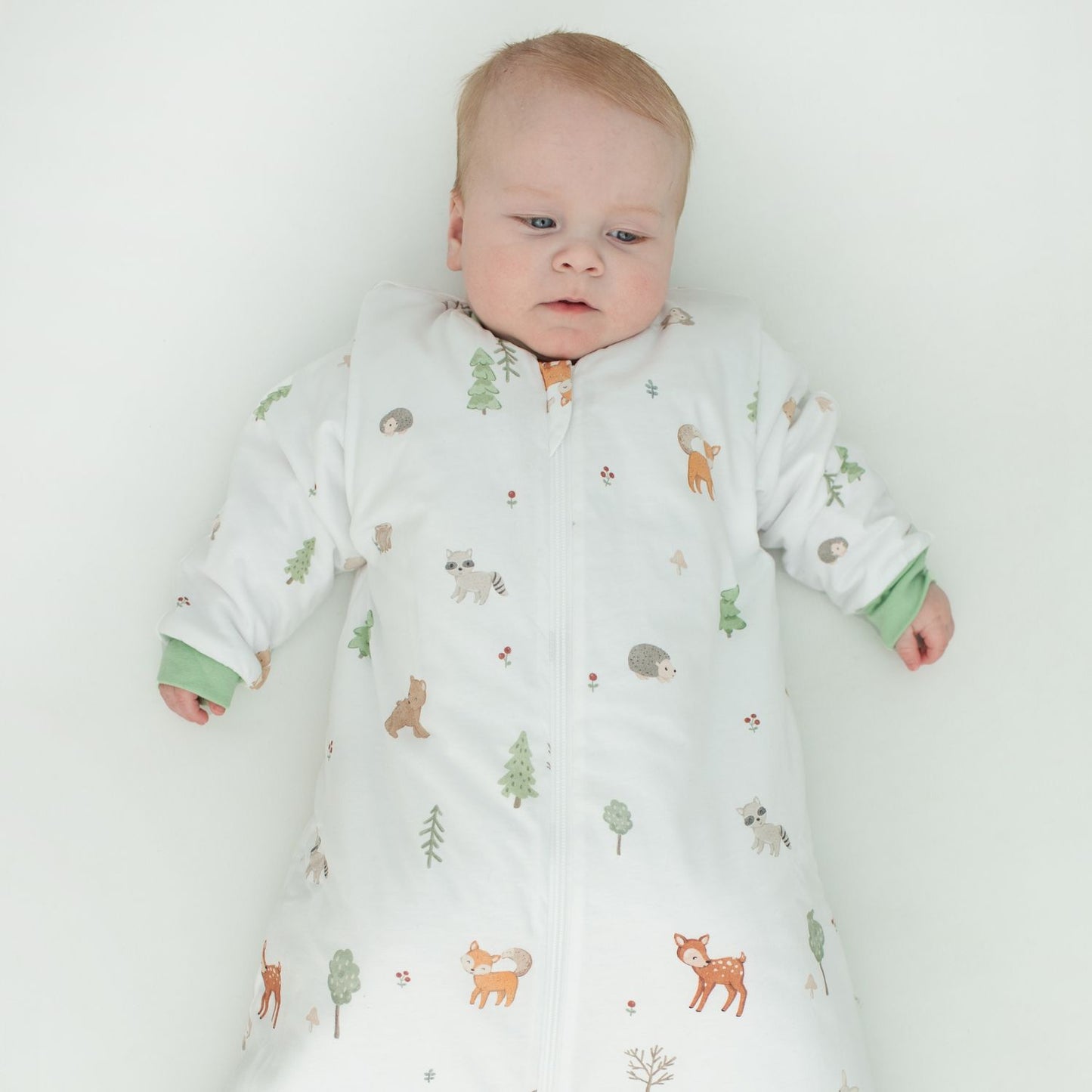 Saquito Forest - Tog 2.5