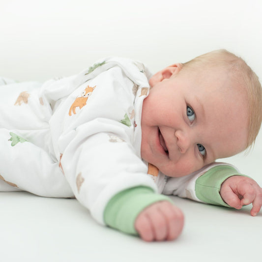 Saquito Forest - Tog 2.5